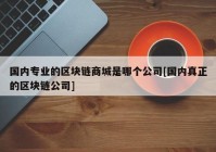 国内专业的区块链商城是哪个公司[国内真正的区块链公司]